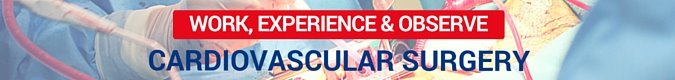 Work, experience & observe - Cardiovascular Surgery